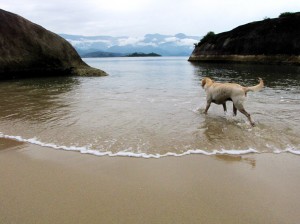 a_caminho_do_mar